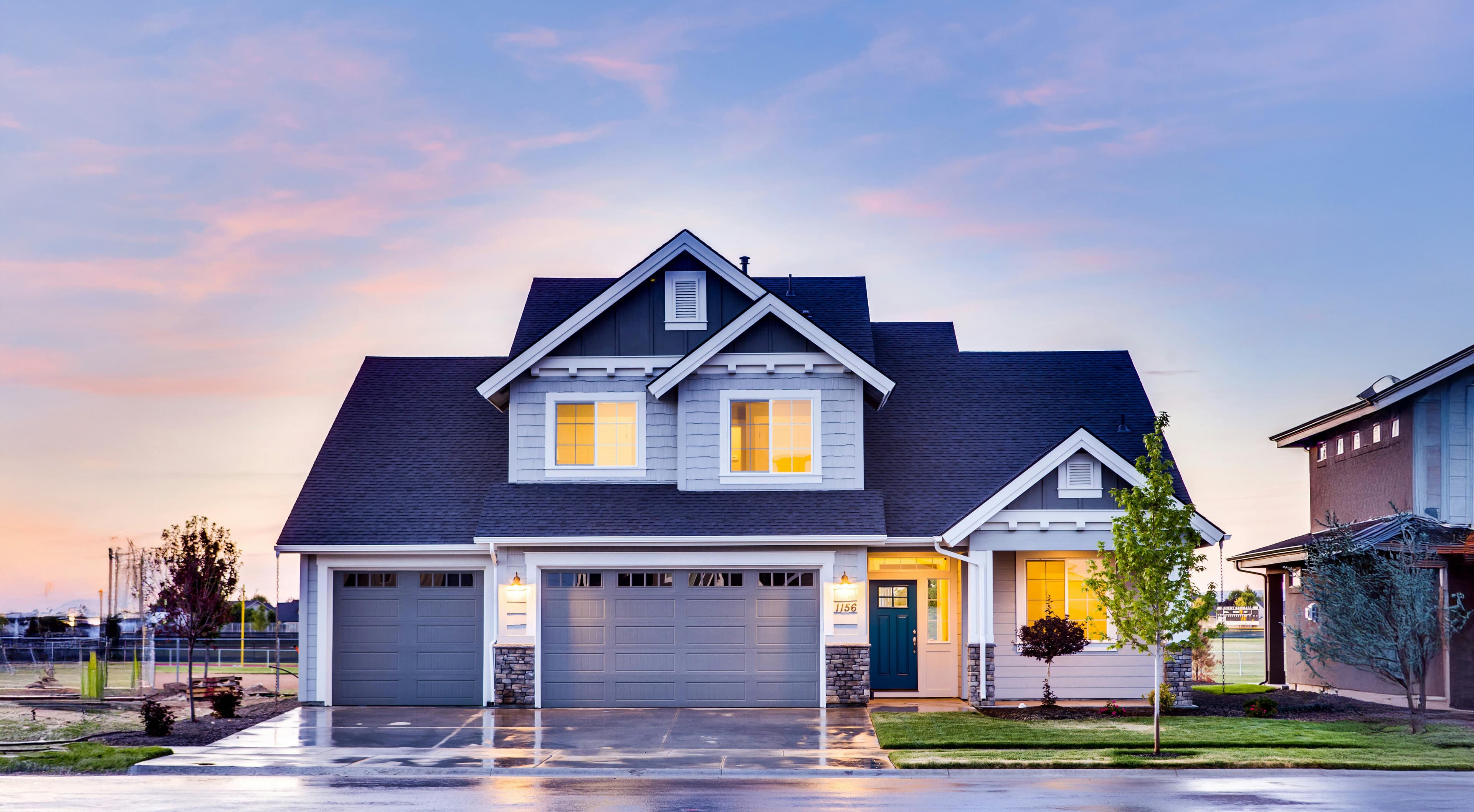 Professional pest control service